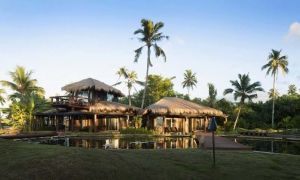 Island-Travel-Network-Coconuts-15