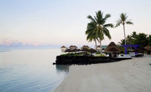 Island-Travel-Network-Coconuts-16