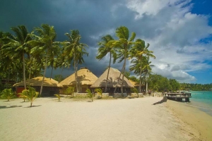 Island-Travel-Network-Coconuts-4