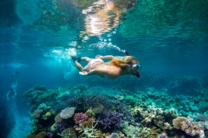 Island-Travel-Network-Havannah-24