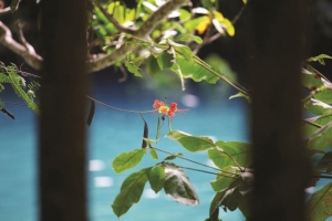 Island-Travel-Network-Vale-Vale-13