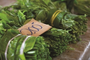 Island-Travel-Network-Vale-Vale-3