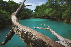 Island-Travel-Network-Vale-Vale-6