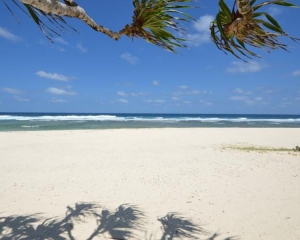 Tamanu on the Beach-4